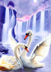 Купити Алмазна вишивка Пара лебедів  в Україні
