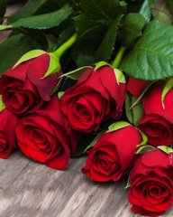 Купить Красные розы Алмазная мозаика квадратные камни  в Украине
