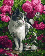 Купити Кіт серед троянд Цифрова картина за номерами (без коробки)  в Україні