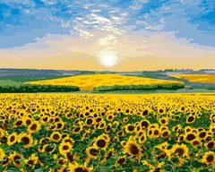Купити Соняшниковий рай. Розпис картин за номерами  в Україні