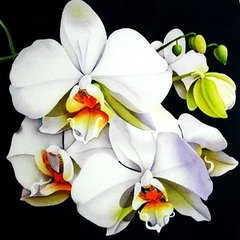 Купить Белая орхидея-3. Набор для алмазной вышивки квадратными камушками.  в Украине