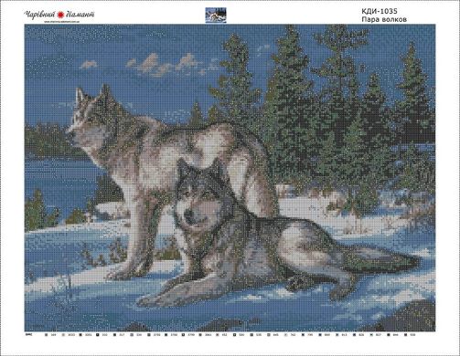 Купити Алмазна мозаїка Пара вовків  в Україні