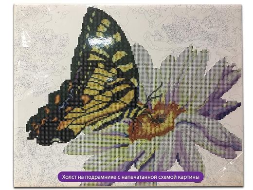 Купити Метелики з бульбашками Алмазна картина розфарбування 40 х 50 см  в Україні