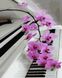 Орхидея на фортепиано Антистрес раскраска по цифрам без коробки, Без коробки, 40 х 50 см
