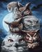 Картина раскраска Ночные охотники, Без коробки, 40 x 50 см