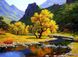 Алмазная мозаика с полной закладкой полотна Осенний горный пейзаж, Нет