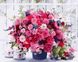 Картина раскраска по номерам Розовые хризантемы, Подарочная коробка, 40 х 50 см