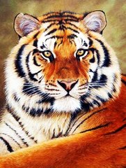 Купить Величественный тигр. Набор для алмазной вышивки квадратными камушками  в Украине