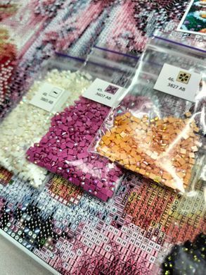 Купити Чарівна примара Алмазна вишивка Квадратні стрази 40х40 см з голограмними відтінками  в Україні