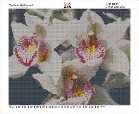 Купить Белая орхидея-2. Набор для алмазной вышивки квадратными камушками.  в Украине
