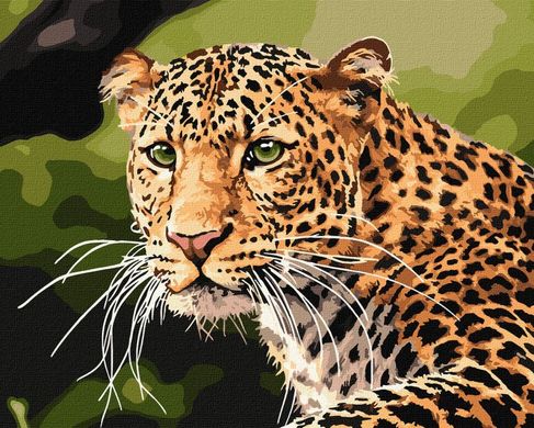 Купити Зеленоокий леопард Розмальовка по цифрам  в Україні