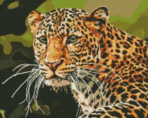 Купить Зеленоглазый леопард Мозаичная картина по номерам 40х50 см  в Украине