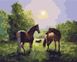 Картина за номерами - Родина конячок ©Олександр Закусілов Идейка 40х50 см (KHO4497)