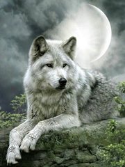 Купить Волк под луной Мозаика квадратными камнями30х40 см з підрамником  в Украине
