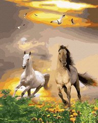 Купити Набір для малювання картини за номерами Пара конів (золоті фарби)  в Україні