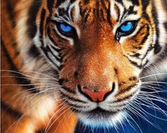 Купить Сила тигра Алмазная мозаика На подрамнике 40 на 50 см  в Украине