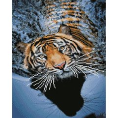 Купить Тигр на отдыхе Набор для алмазной мозаики круглыми камнями  в Украине