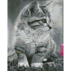 Купити Сіре кошеня 30х40 см (KB002) Набір для творчості алмазна картина  в Україні