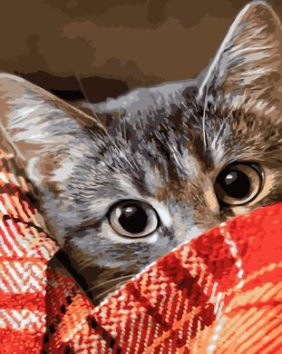 Купить Рисование картин по номерам (без коробки) Котик под одеялом  в Украине
