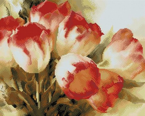 Купити Алмазна мозаїка 40х50 Тюльпани  в Україні