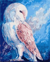 Купити Біла сова Картина за номерами ТМ АртСторі  в Україні