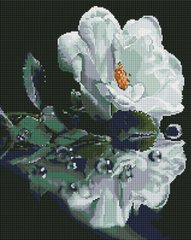 Купити Біла троянда Діамантова мозаїка 40x50  в Україні