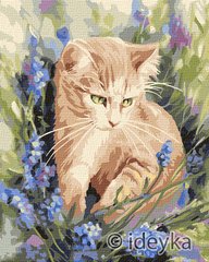 Купити Малювання по номерам Кошеня в квітах (без коробки)  в Україні