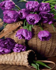 Купить Фиолетовые тюльпаны Цифровая картина по номерам (без коробки)  в Украине