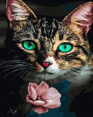 Купити Кішка та квітка Цифрова картина за номерами (без коробки)  в Україні