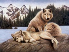 Купити Алмазна вишивка Вовки на відпочинку  в Україні
