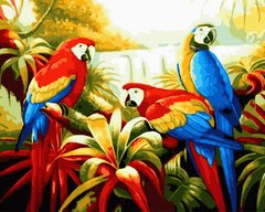 Купити Папуги в тропіках Картина за номерами 40 х 50 см  в Україні