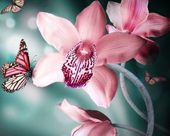 Купить Прекрасная орхидея. Набор для алмазной вышивки квадратными камушками.  в Украине