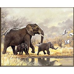 Купити Сімейство слонів Алмазна мозаїка на підрамнику, квадратні 30х40 см  в Україні