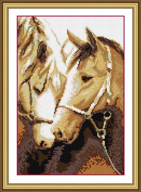 Купити 30107 Відданість (коні) Набір алмазного живопису  в Україні