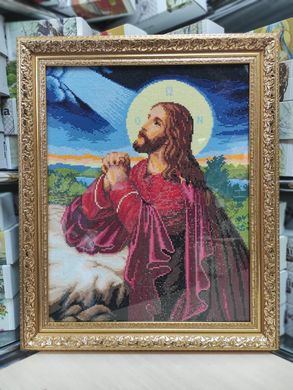 Купити Алмазна мозаїка Ісус на Оливковій горі 40х50см  в Україні