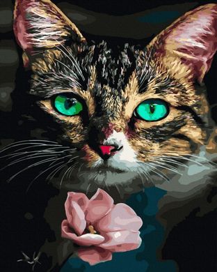 Купить Кошка и цветок Цифровая картина по номерам (без коробки)  в Украине