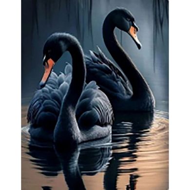 Купить Черные лебеди Набор для алмазной мозаики (подвесной вариант) 40х50см  в Украине