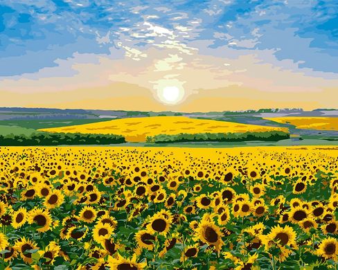 Купити Соняшниковий рай. Розпис картин за номерами  в Україні