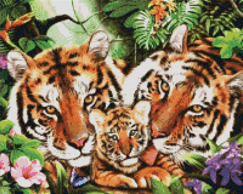 Купити Сім'я тигрів Алмазна вишивка Квадратні стрази  в Україні