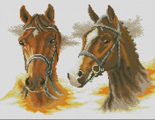Купить Две лошади Картина алмазами по номерам  в Украине