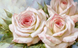 Нежные розы Набор для алмазной мозаики большого размера 40х65 см На подрамнике