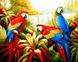 Попугаи в тропиках Картина по номерам 40 x 50 см, Без коробки, 40 х 50 см