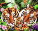 Сім'я тигрів Алмазна вишивка Квадратні стрази