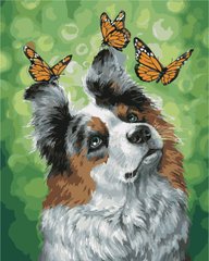 Купить Собака и бабочки Картина по номерам ТМ АртСтори  в Украине