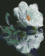 Купить Белая роза Алмазная вышивка 40x50  в Украине
