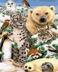 Купити Набір для малювання картини за номерами Тварини холоду  в Україні