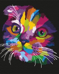 Купить Радужный котенок Картина антистресс по номерам на подрамнике  в Украине
