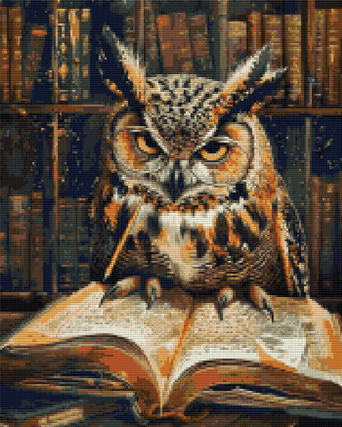 Купить Сова с книжкой Алмазная мозаика, квадратные камни 40х50см  в Украине