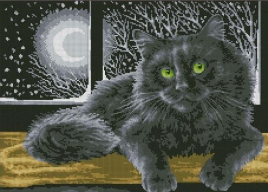 Купити Кіт в ночі Картина алмазами за номерами  в Україні