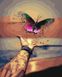 Картина розфарбування по номерах Різнокольоровий метелик 40 х 50 см (без коробки), Без коробки, 40 х 50 см